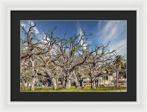 Cameron Parish Court House - Framed Print