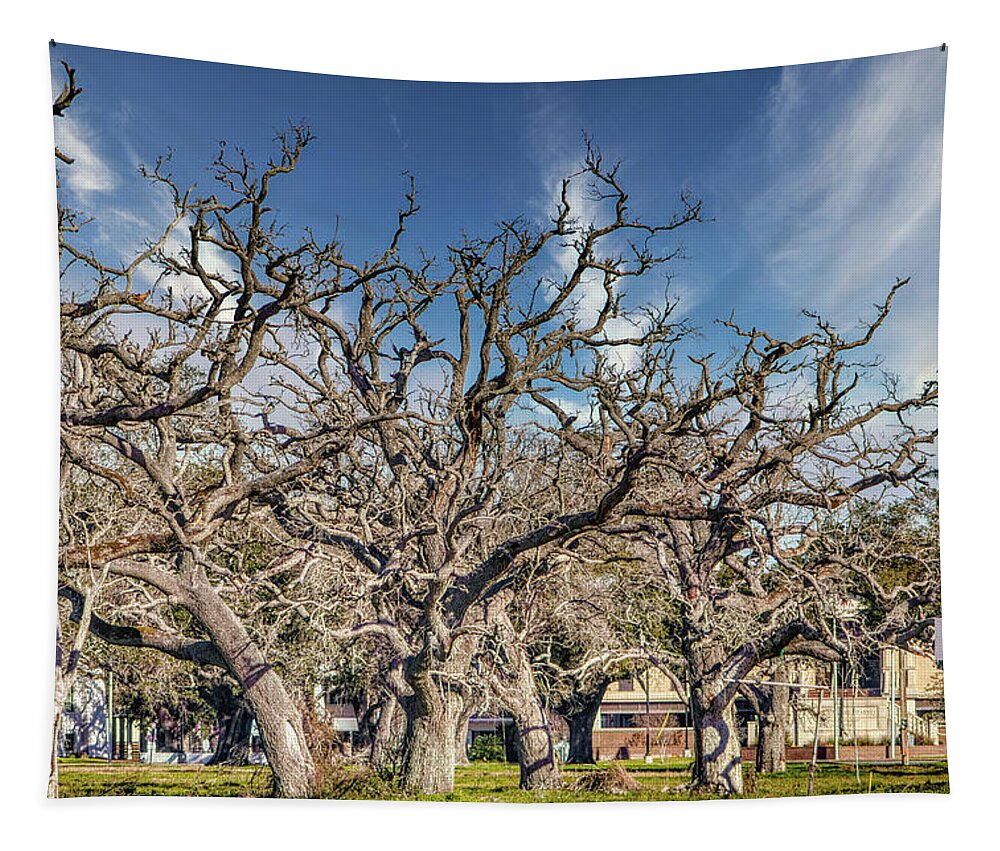 Cameron Parish Court House - Tapestry