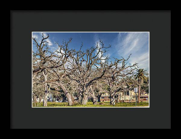 Cameron Parish Court House - Framed Print