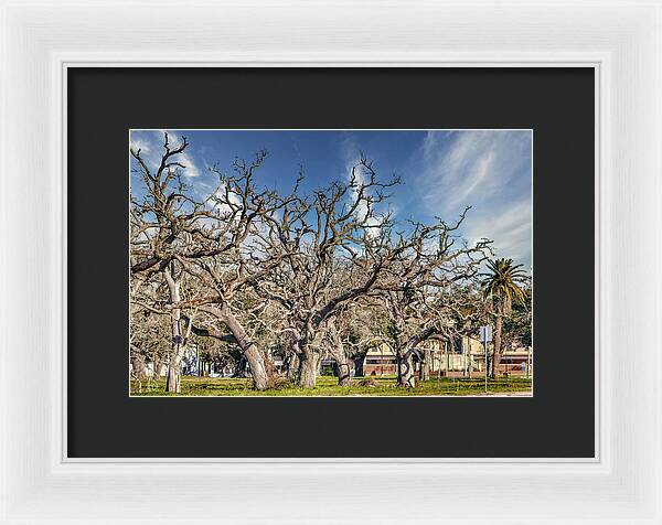 Cameron Parish Court House - Framed Print
