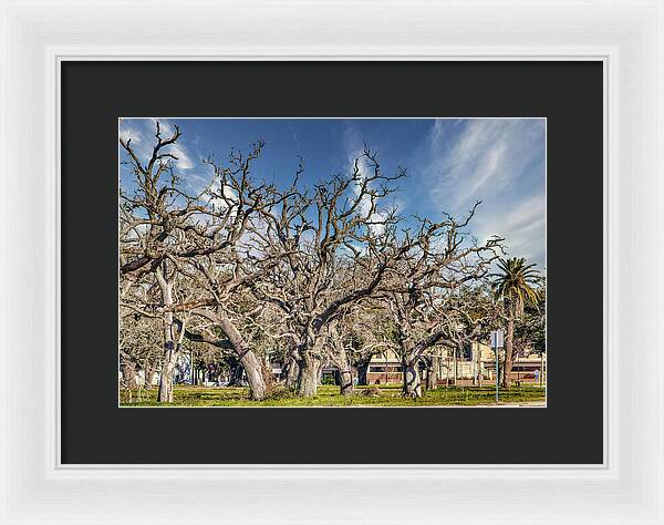 Cameron Parish Court House - Framed Print
