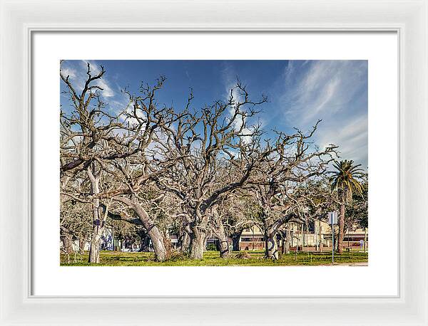 Cameron Parish Court House - Framed Print